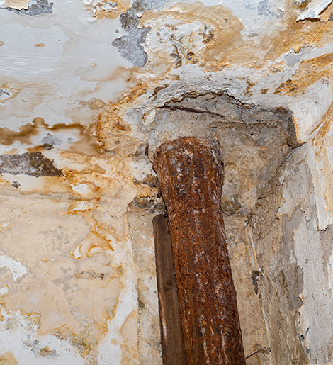 Best Mold Remediation Companies in USA